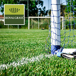 artificial sports grass