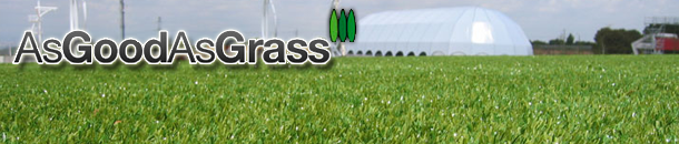 Synthetic Grass